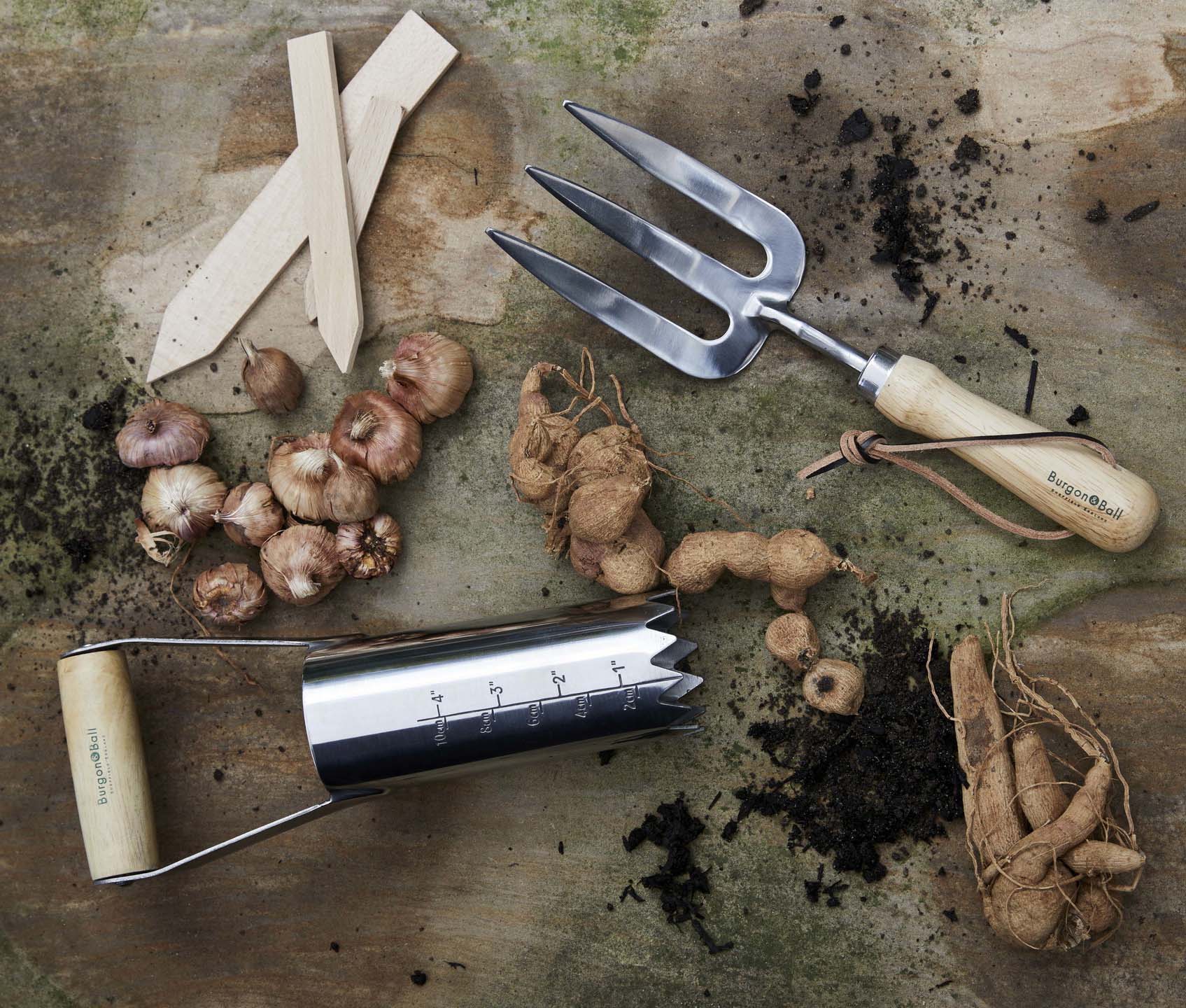 Now is the time to start planting fruits and vegetables. Image: Dobbies