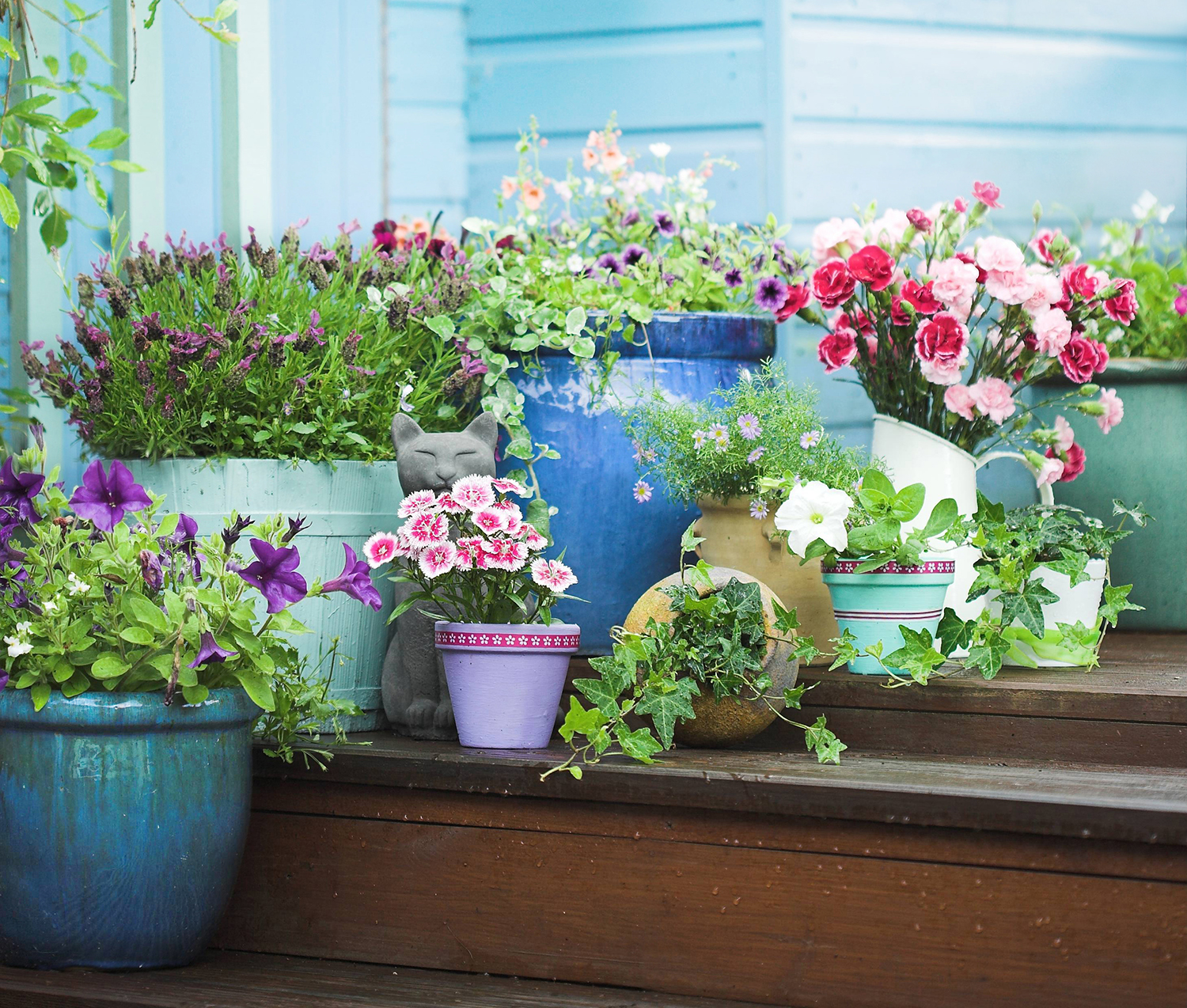 Pot up bright flowers for instant colour. Image: Valda / Shutterstock