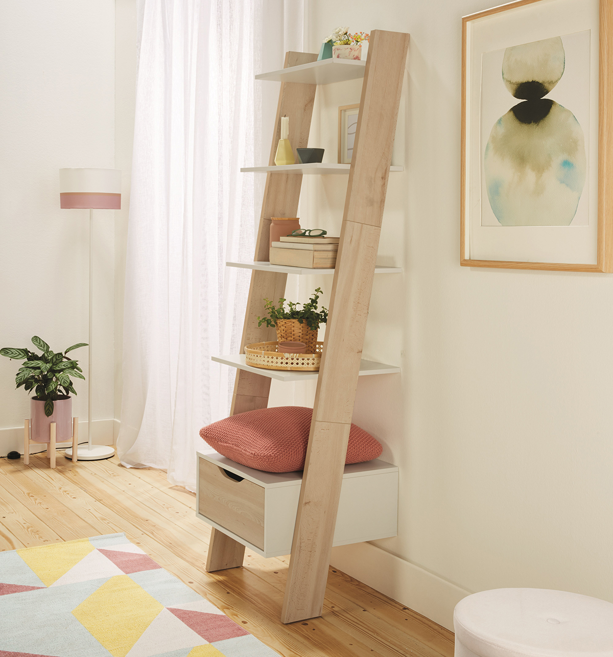 shelving storage ladder