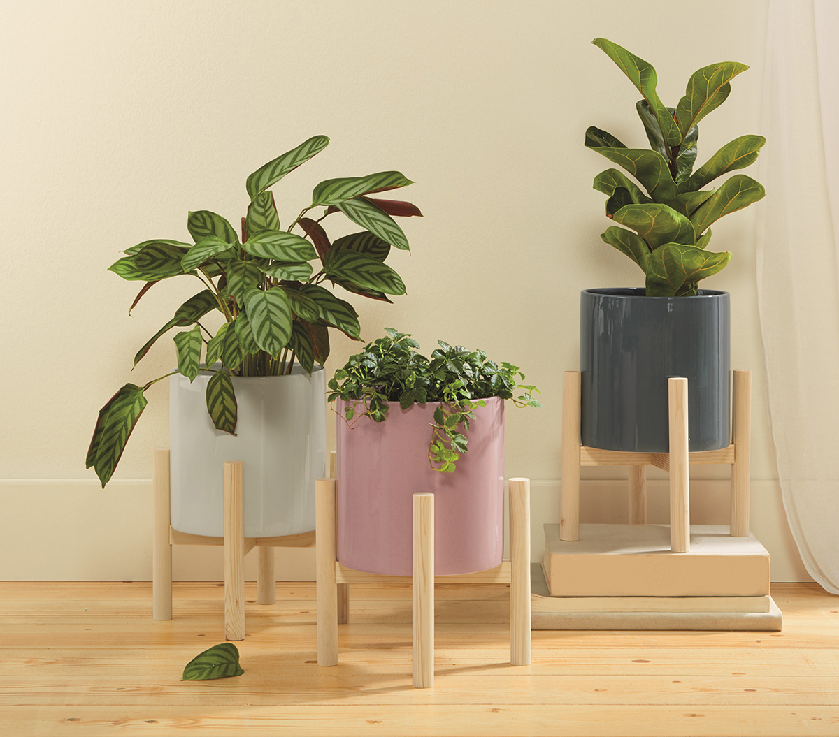 Melinara plant pots from Lidl