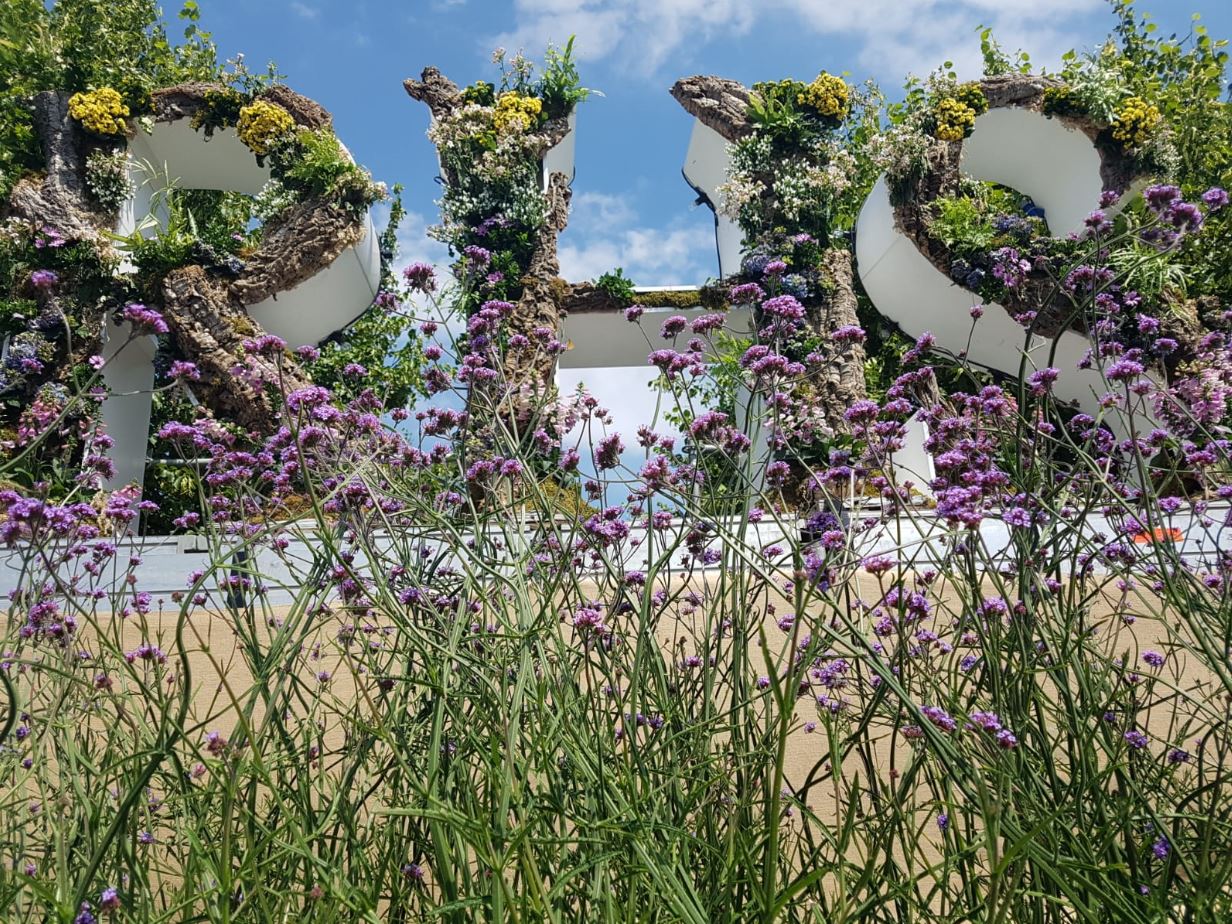 RHS logo at Hampton Court Flower Show 2018