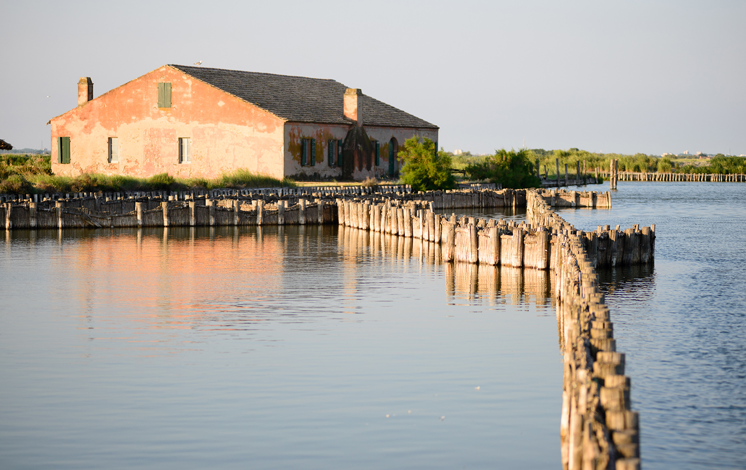 8 reasons to visit Ravenna and the Adriatic Coast