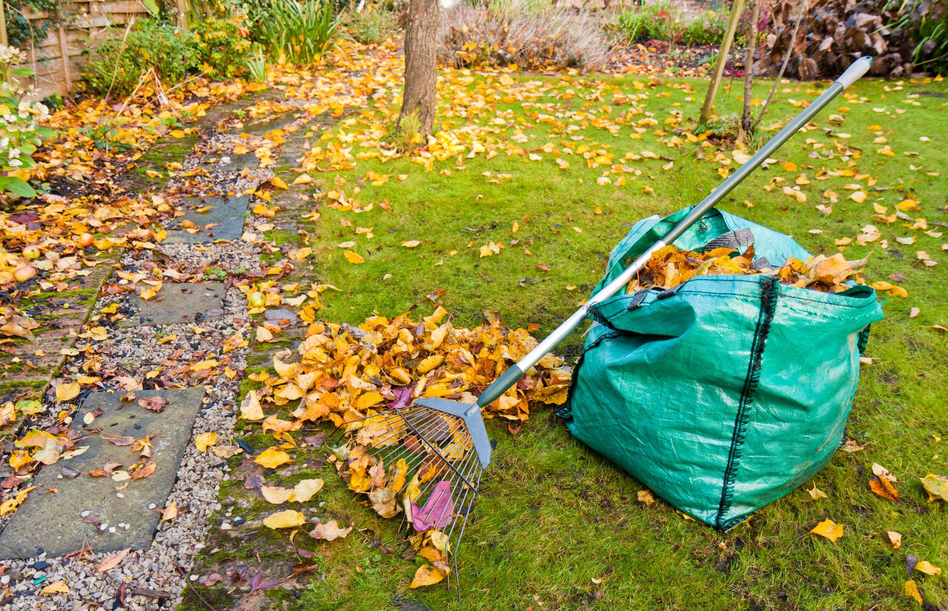 Raking leaves in the autumn