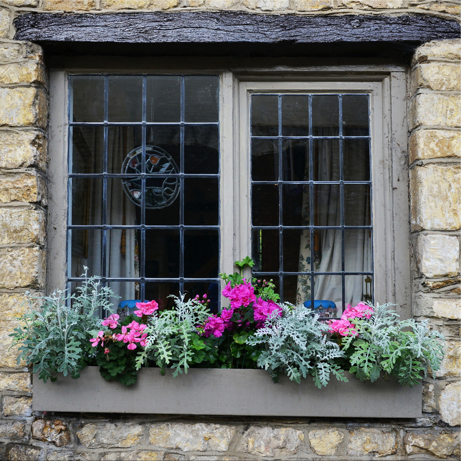 Winter window box with plants and flowers