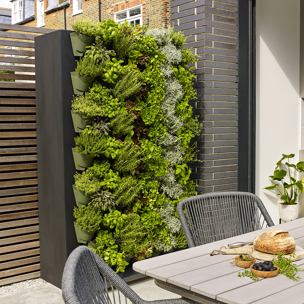 Living wall in vertical containers. Image: Dobbies