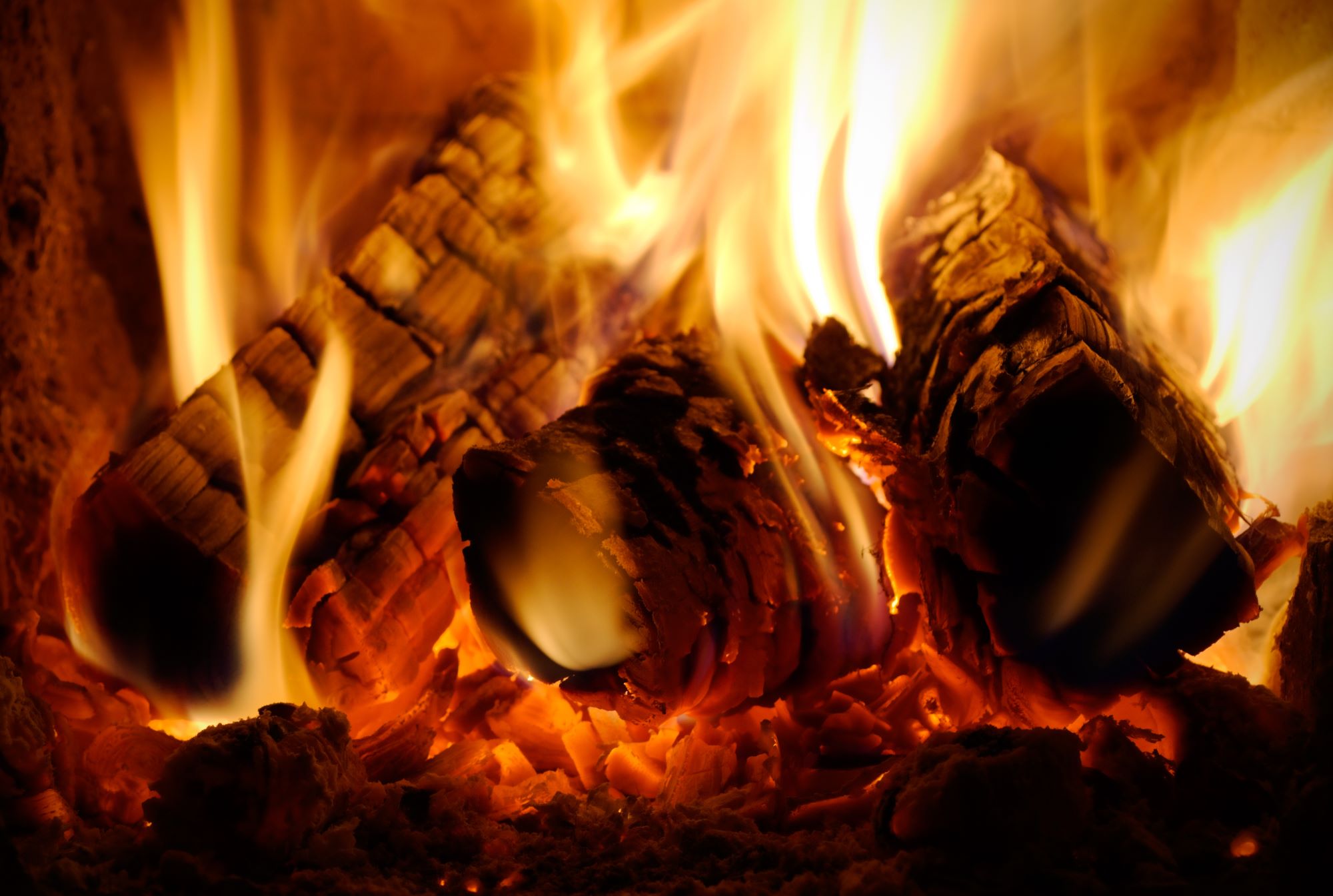 Burning dry wood is much less harmful to the environment. Image: Sinelev/Shutterstock