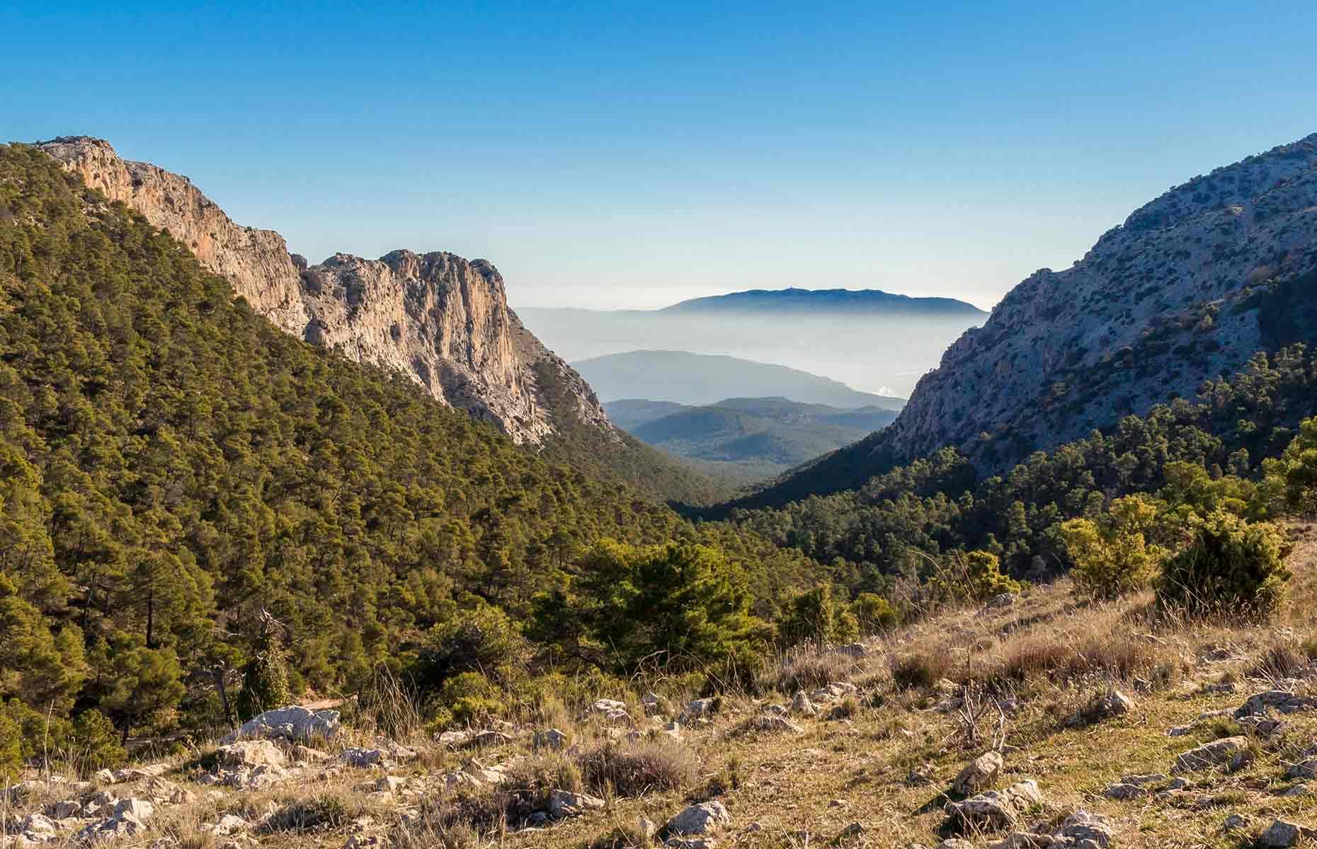 Murcia's mountain ranges (Image: Jose Aldeguer/Shutterstock)