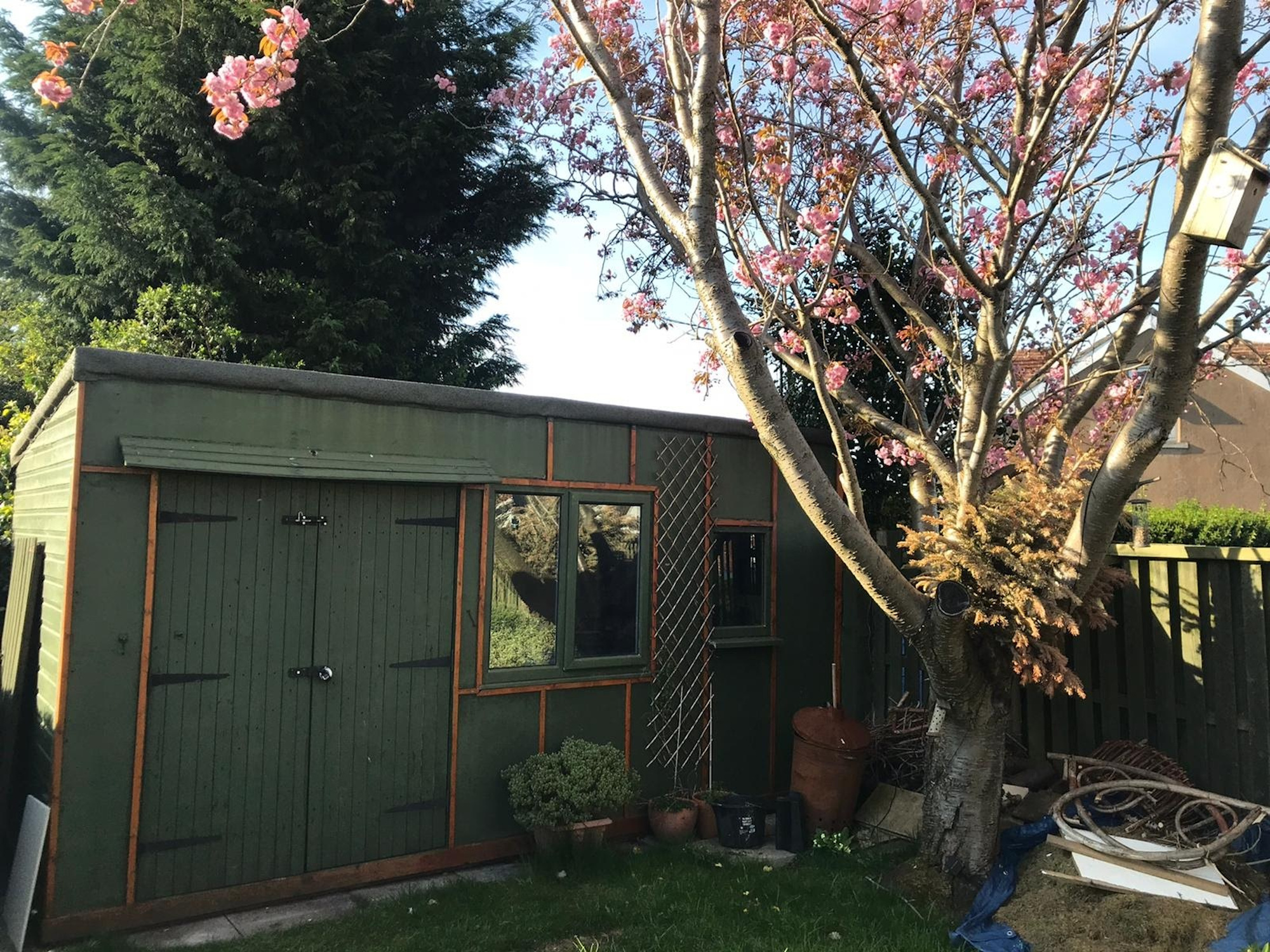 This unassuming garden shed hides an inspiring secret. Image: Sarah McGoldrick